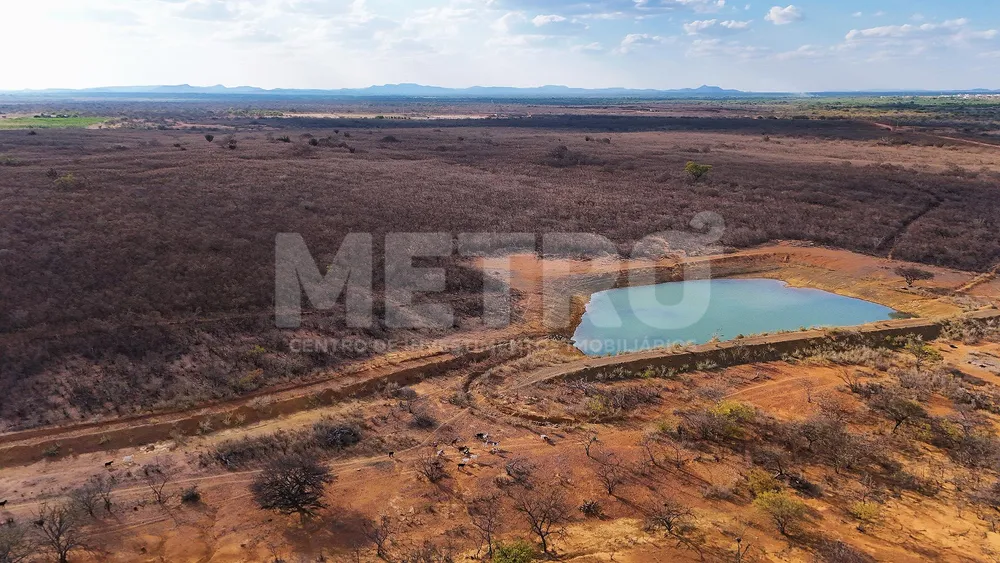 Fazenda - Foto 8