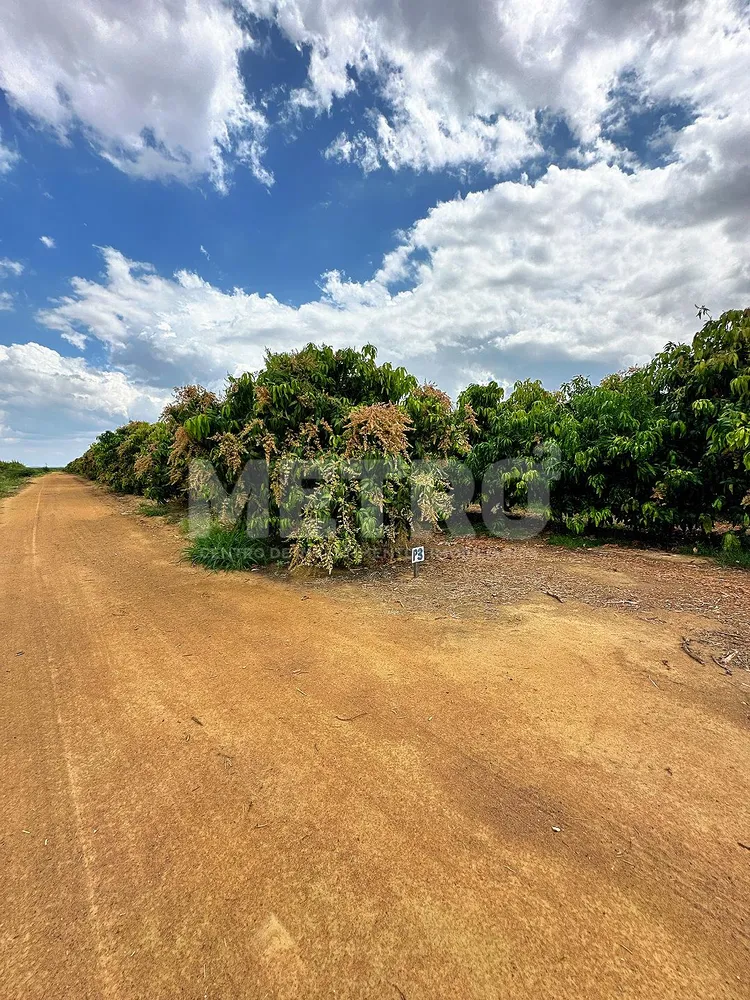 Fazenda - Foto 6