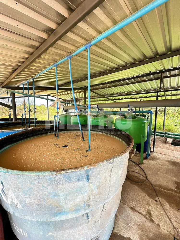 Fazenda - Foto 5