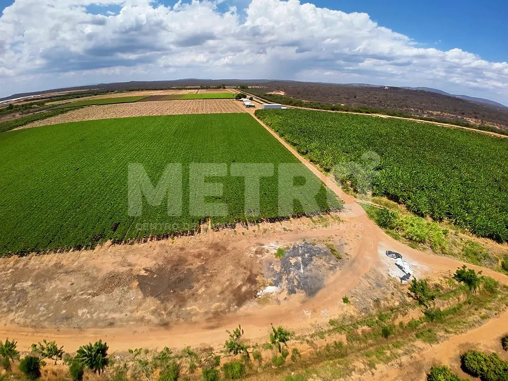 Fazenda - Foto 8