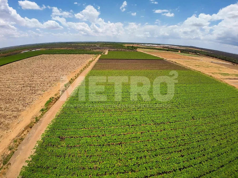 Fazenda - Foto 7