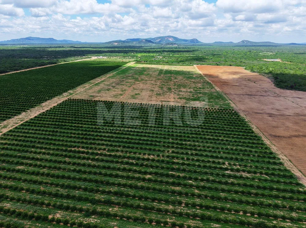 Fazenda - Foto 2