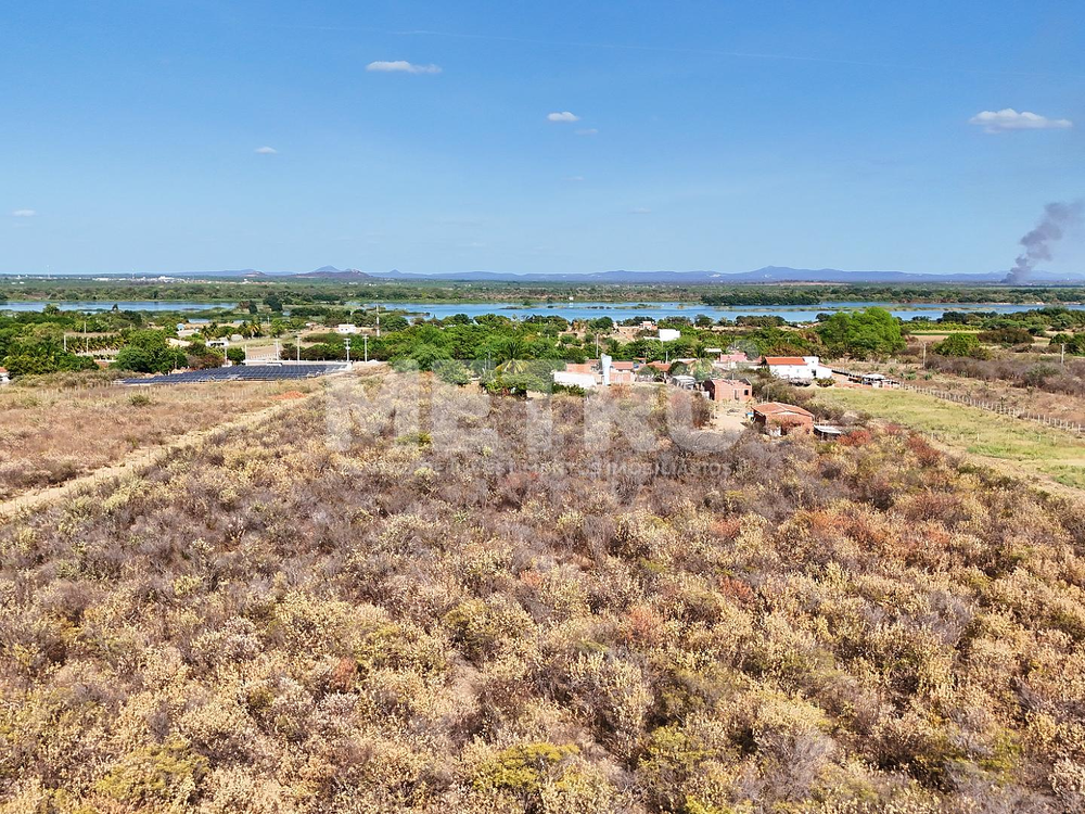 Fazenda à venda, 84000m² - Foto 10