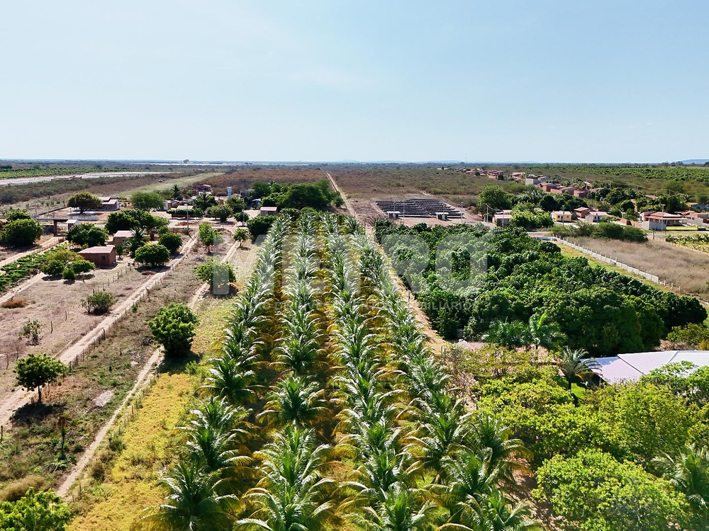 Fazenda à venda, 84000m² - Foto 6