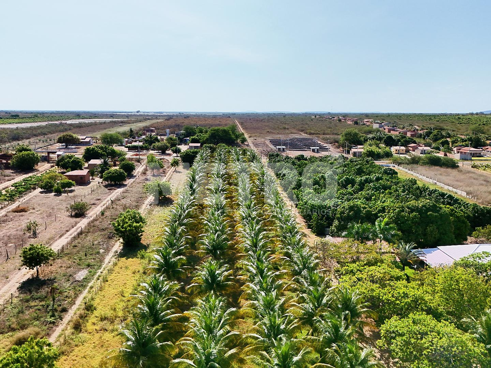 Fazenda à venda, 84000m² - Foto 7