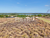 Fazenda-Sítio-Chácara - Foto 10
