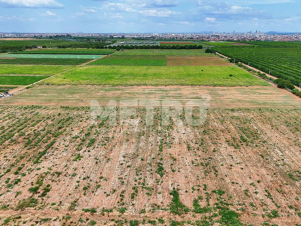 Fazenda - Foto 4