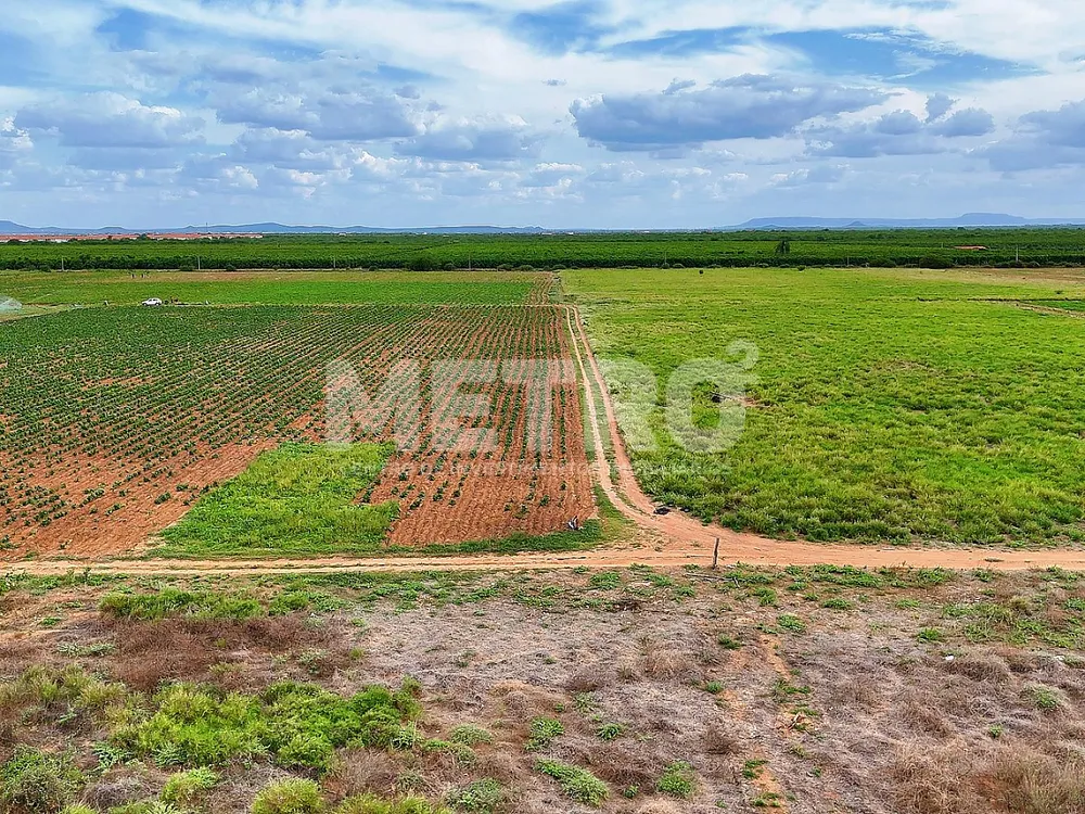 Fazenda - Foto 6