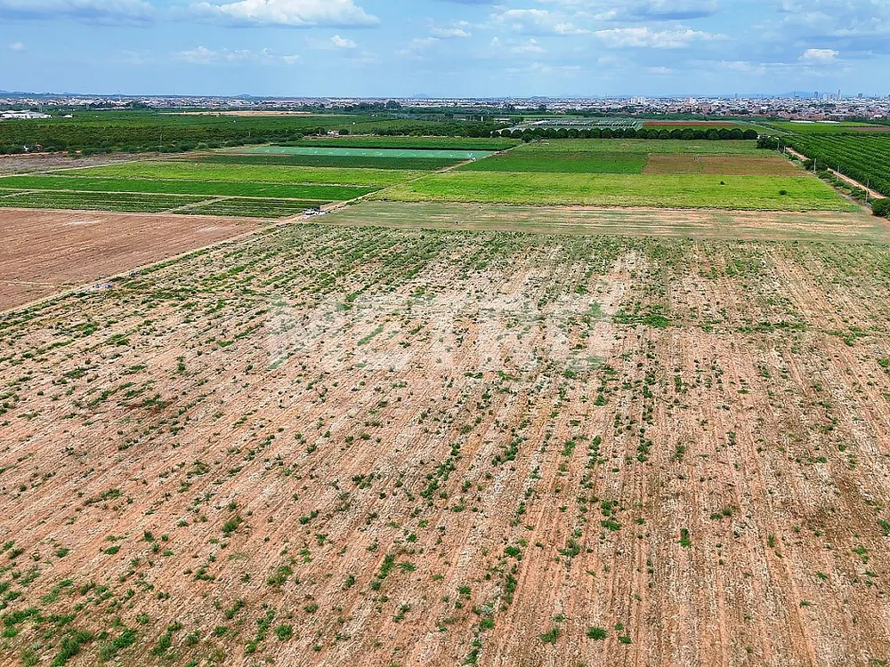 Fazenda - Foto 3