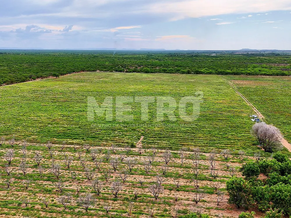 Fazenda - Foto 8