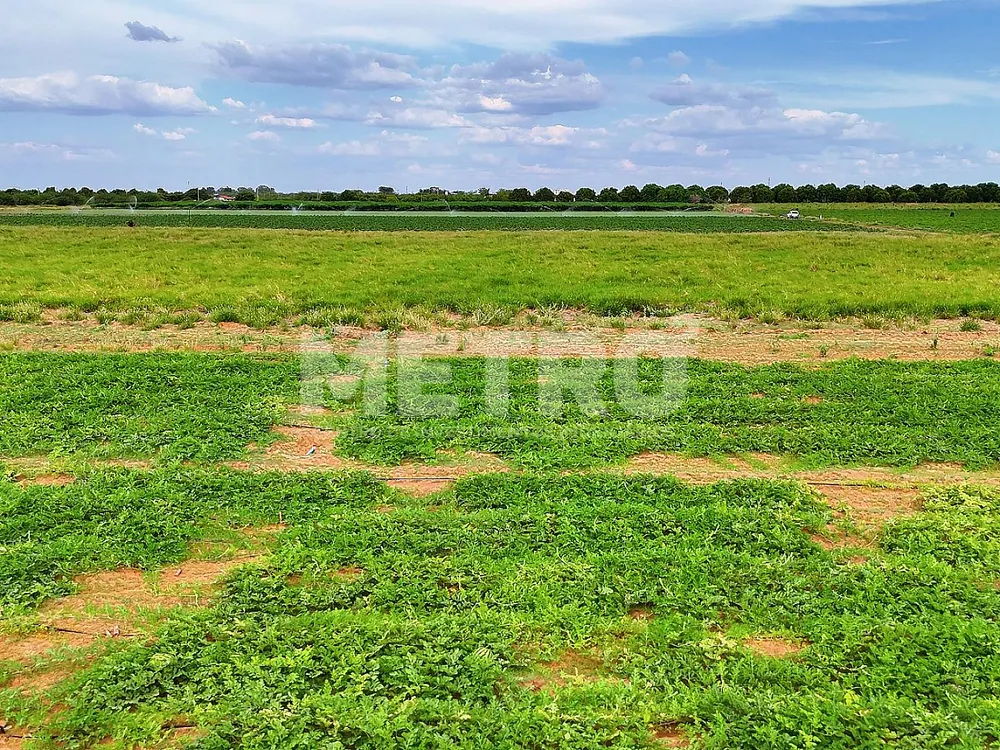 Fazenda - Foto 5