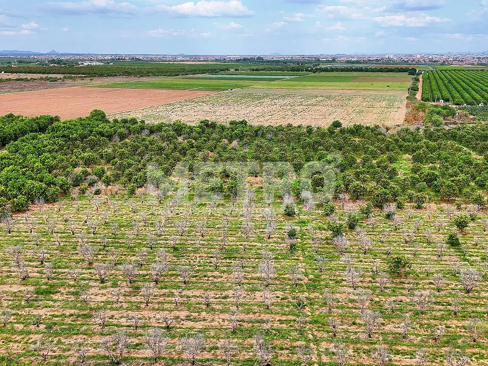 Fazenda - Foto 2
