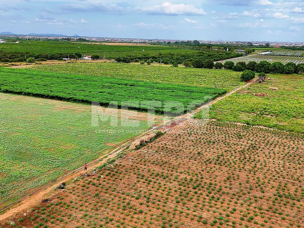 Fazenda - Foto 1