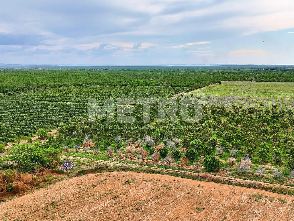 Fazenda - Foto 7
