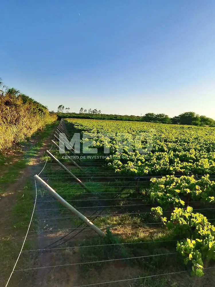 Fazenda - Foto 1