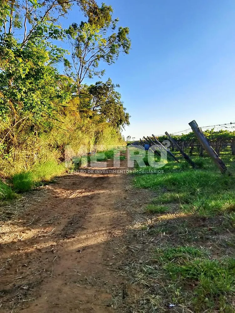 Fazenda - Foto 5