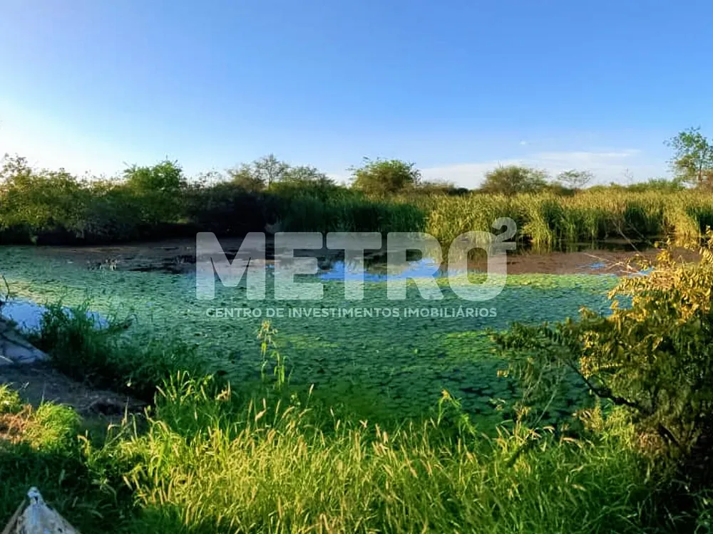 Fazenda - Foto 15