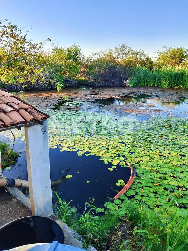 Fazenda - Foto 7