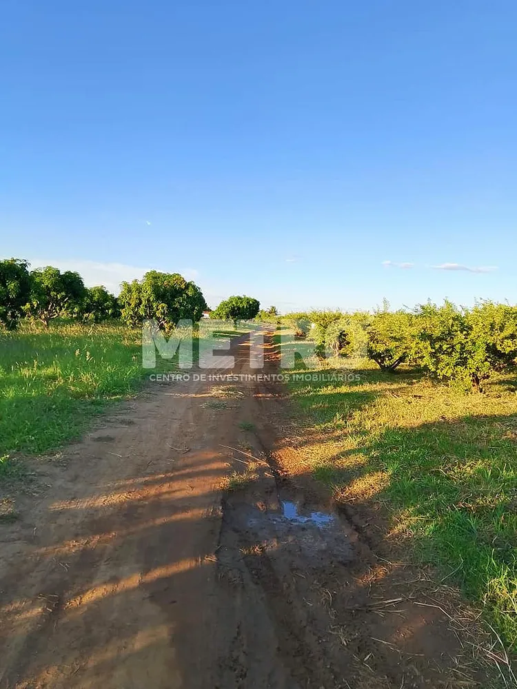 Fazenda - Foto 12