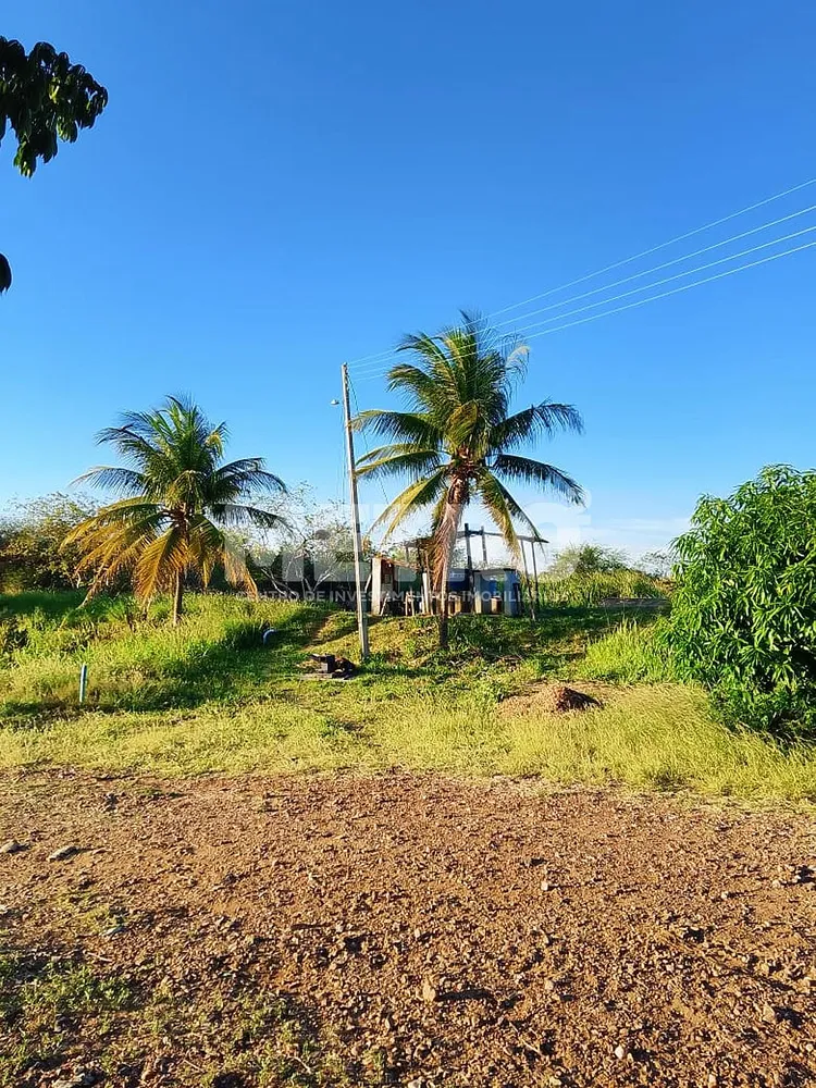 Fazenda - Foto 4