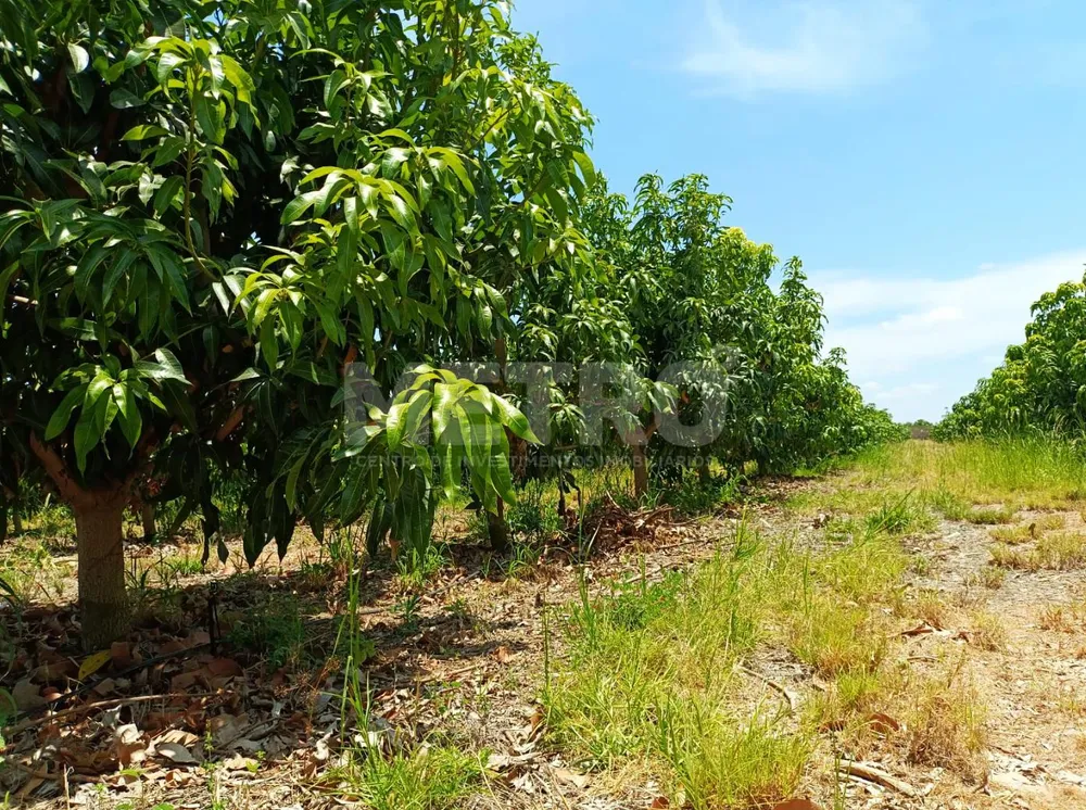 Fazenda, 1 quarto - Foto 1