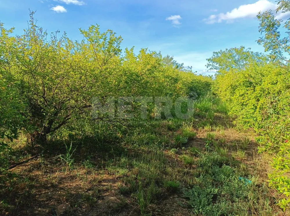 Fazenda, 1 quarto - Foto 7