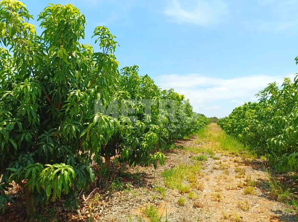 Fazenda, 1 quarto - Foto 4