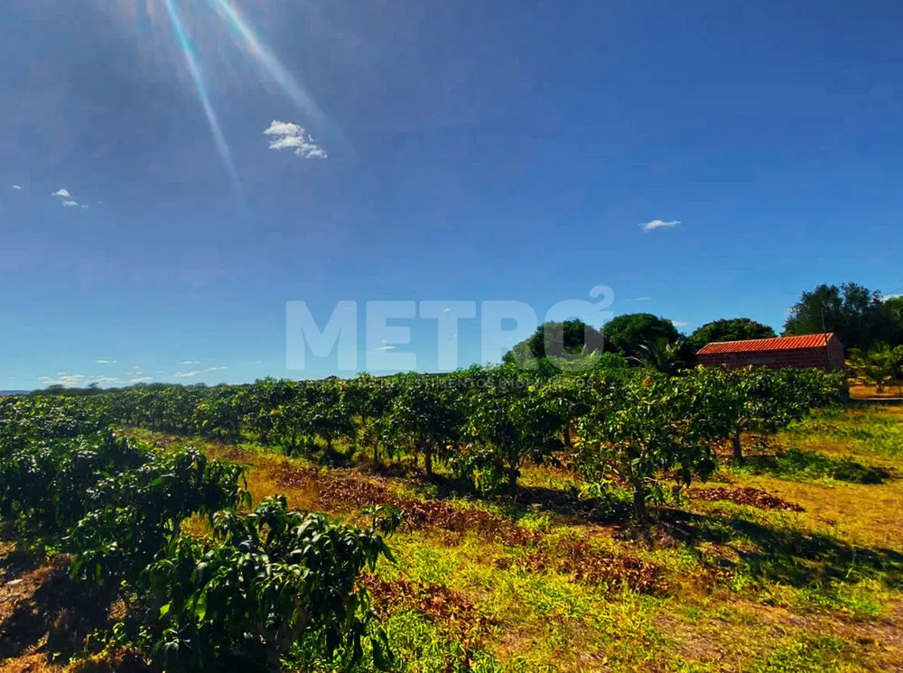 Sítio, 12500 m² - Foto 11