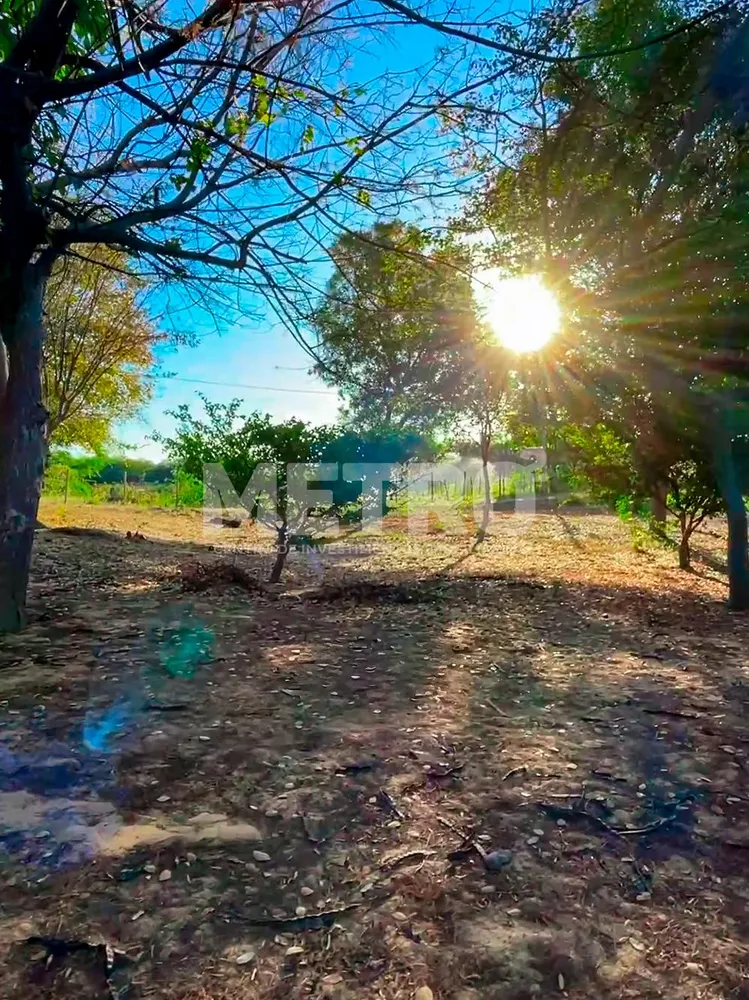 Terreno, 40000 m² - Foto 5