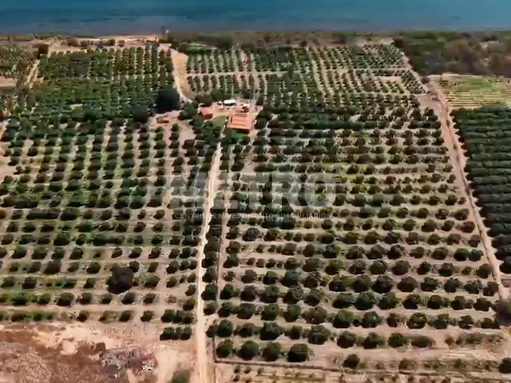 Fazenda - Foto 3