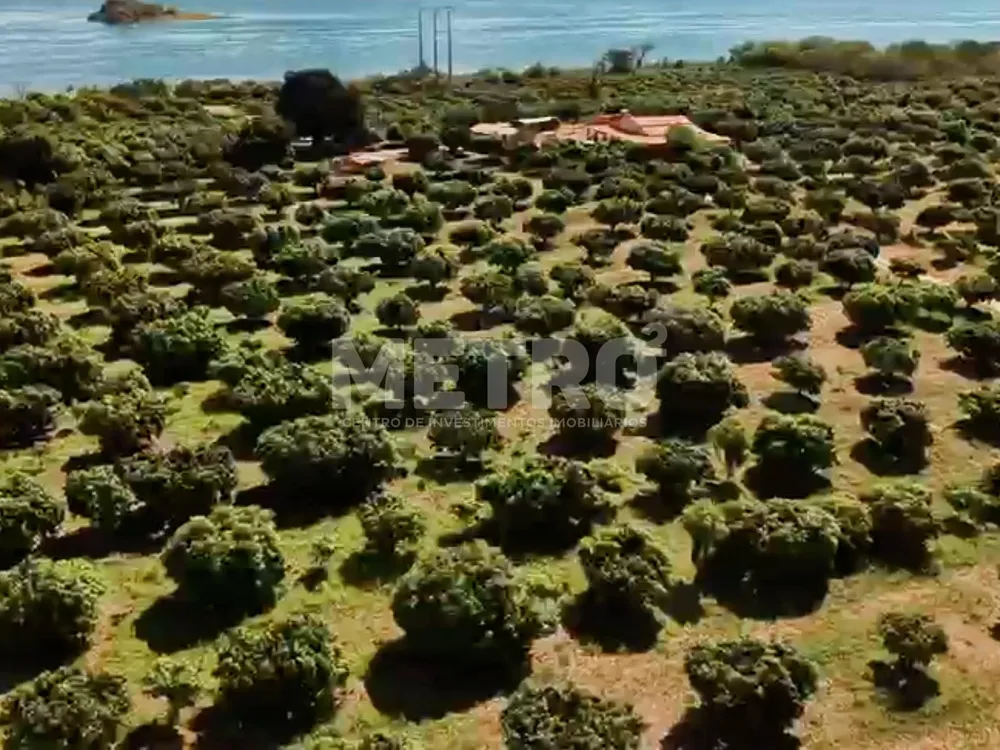 Fazenda - Foto 4