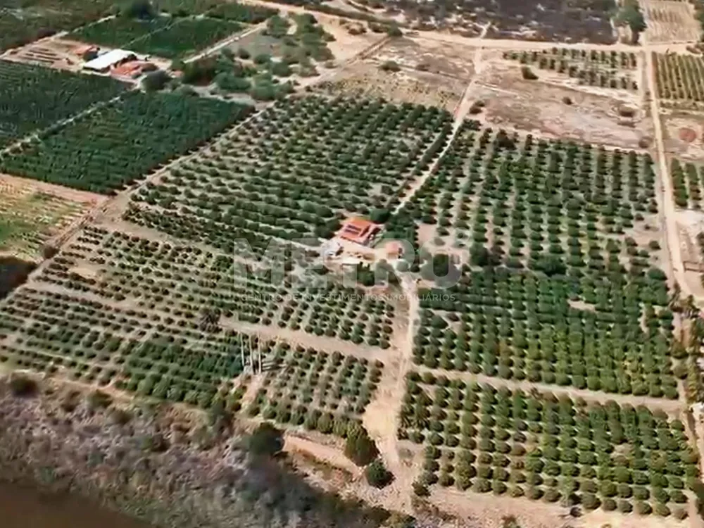 Fazenda - Foto 5