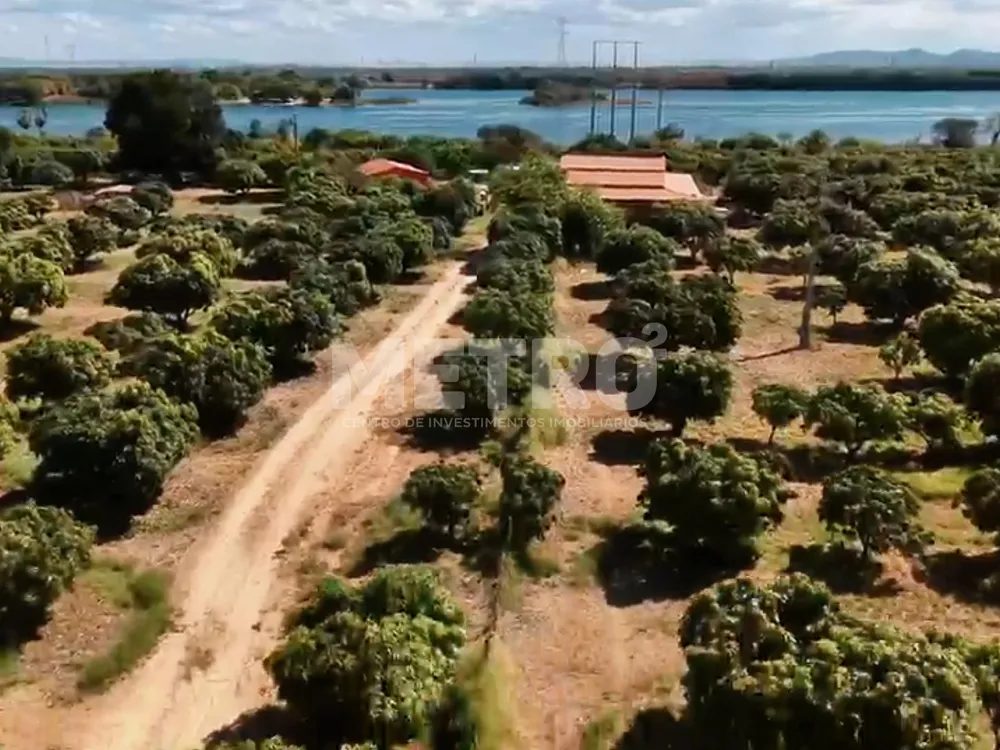 Fazenda - Foto 2
