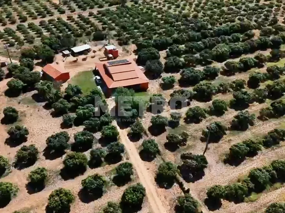 Fazenda - Foto 1