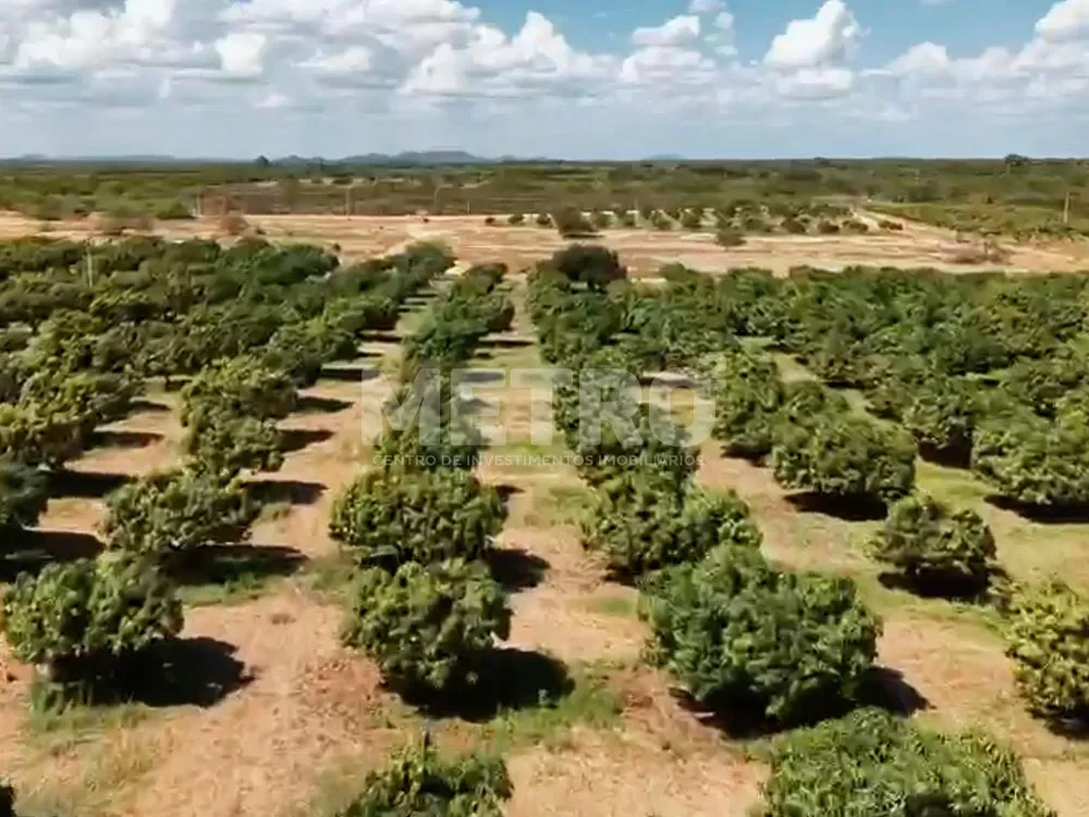 Fazenda - Foto 6