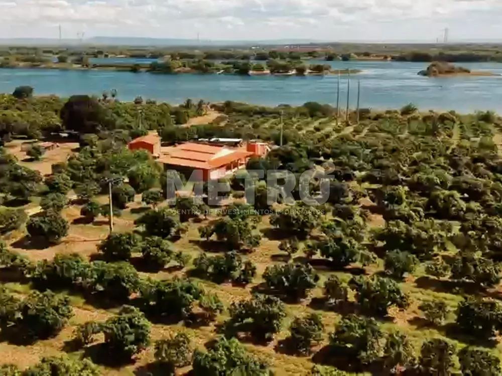 Fazenda - Foto 8