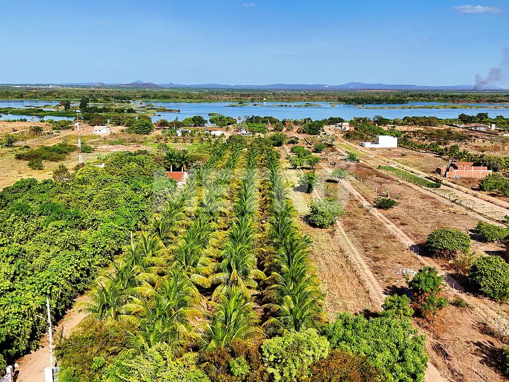 Sítio, 84000 m² - Foto 1