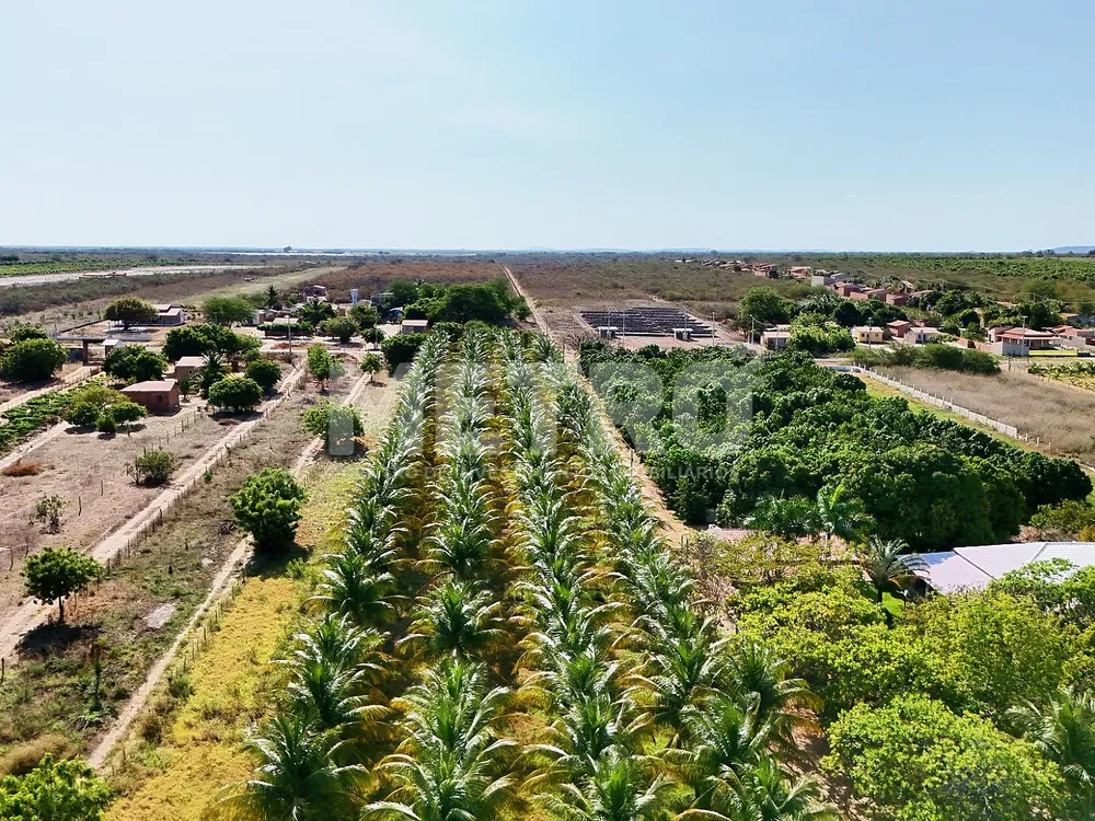 Sítio, 84000 m² - Foto 6
