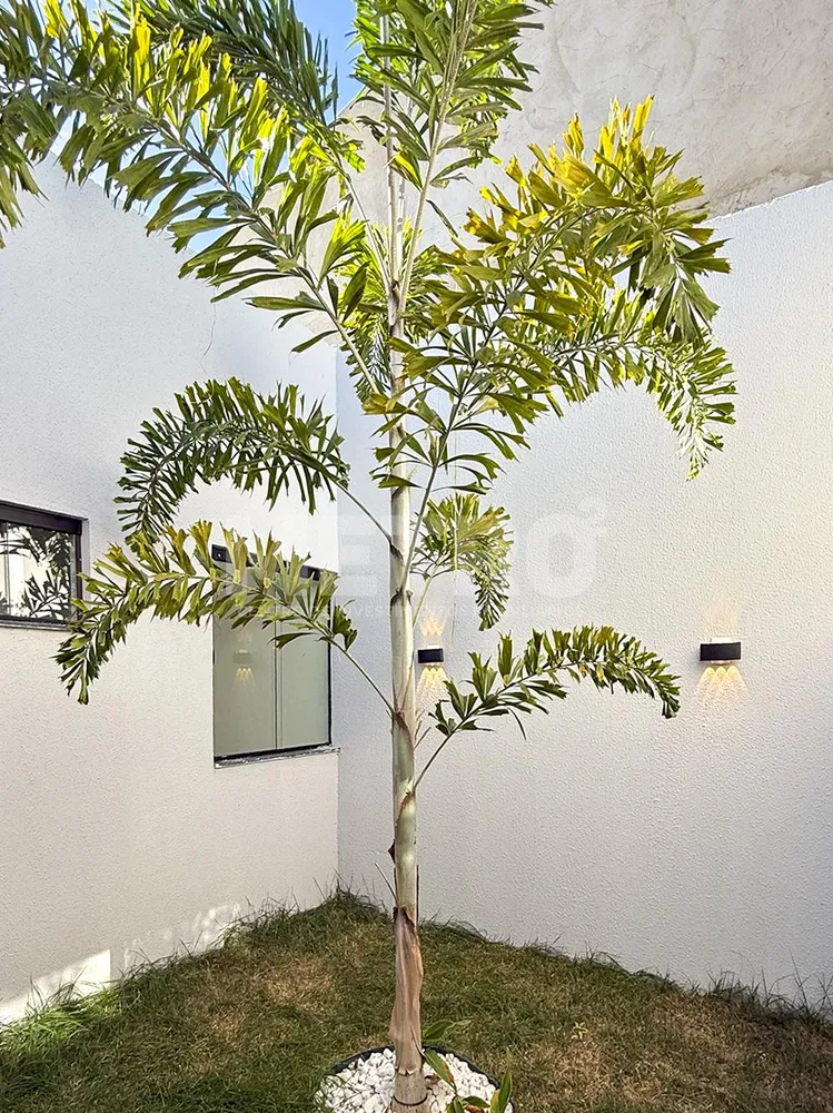 Casa, 1 quarto - Foto 4