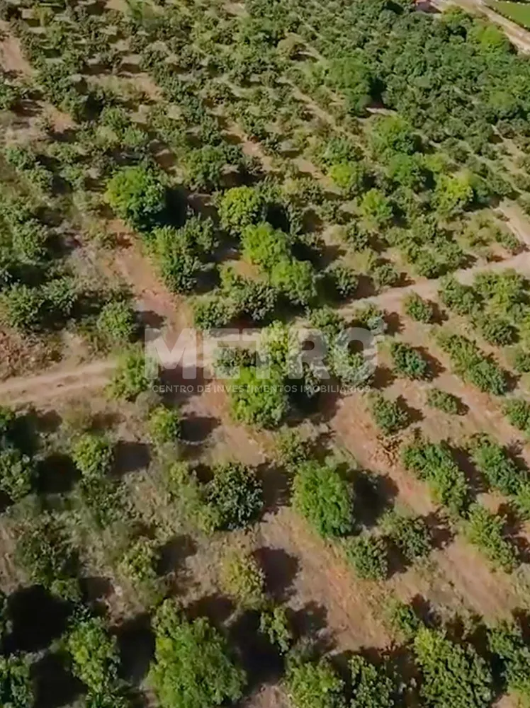 Fazenda - Foto 2