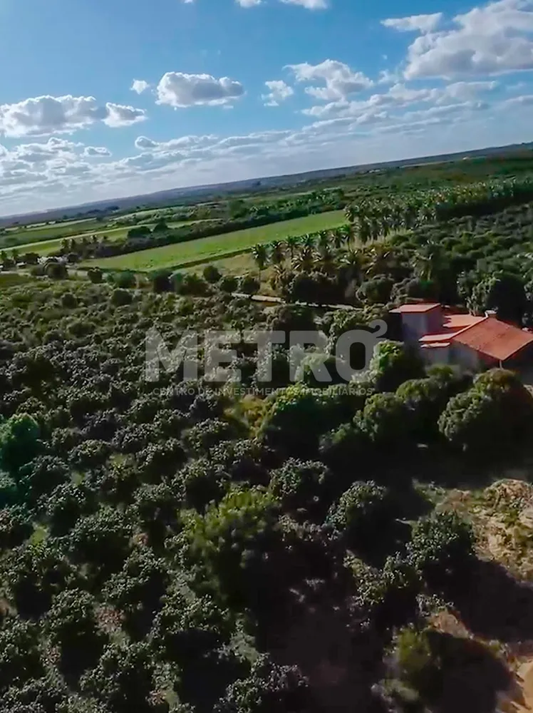 Fazenda - Foto 5