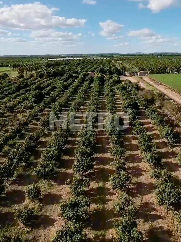 Fazenda - Foto 6