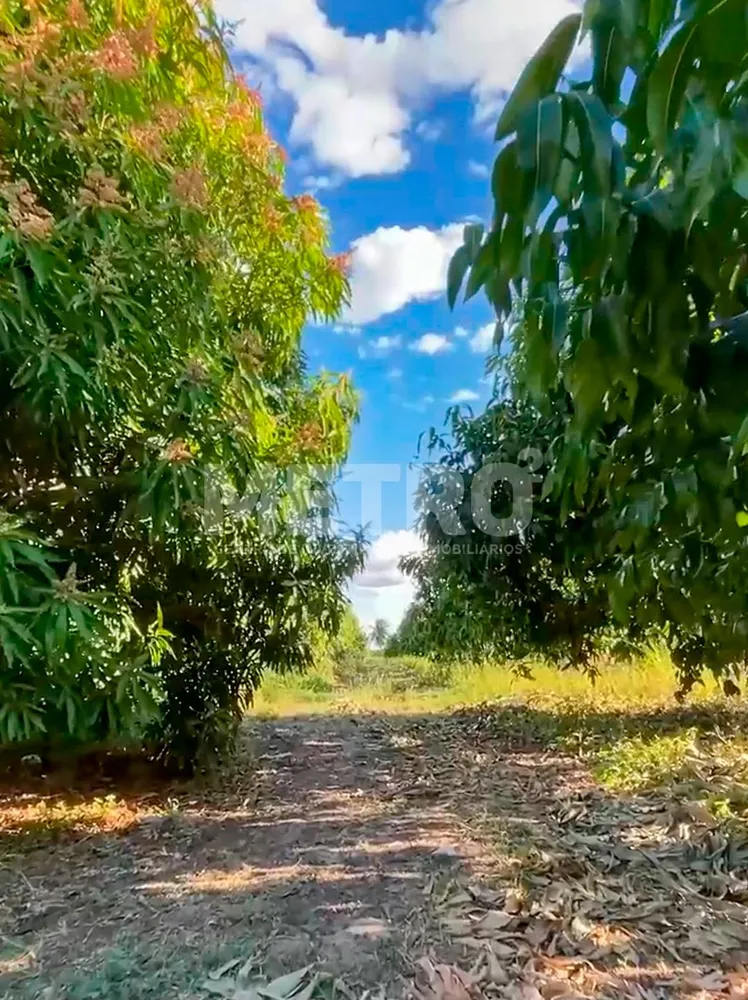 Fazenda - Foto 1