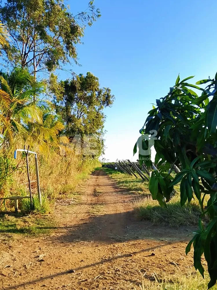 Fazenda - Foto 3
