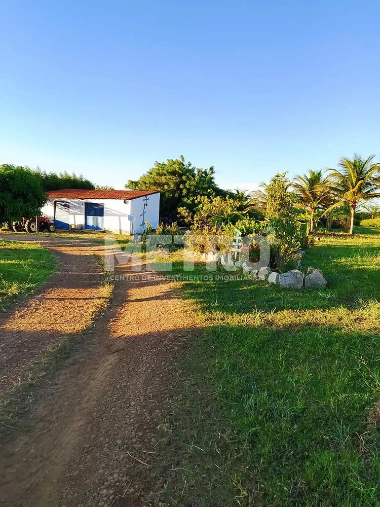Fazenda - Foto 4