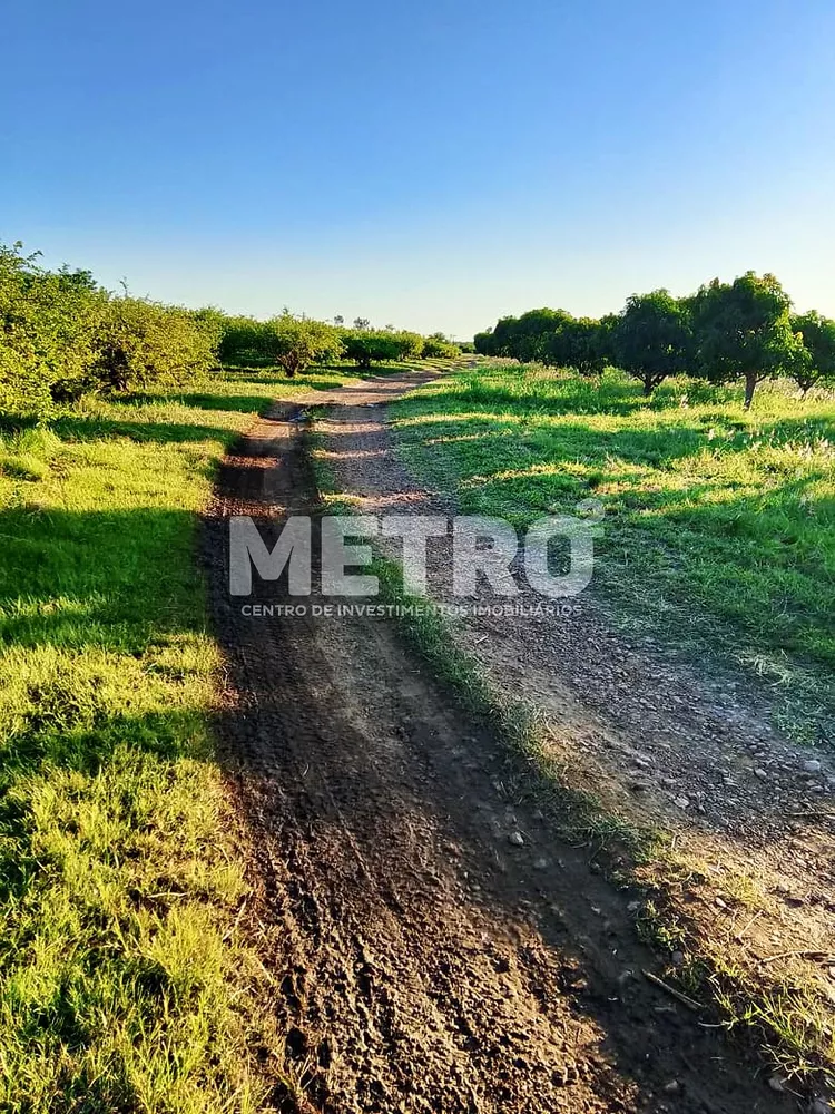 Fazenda - Foto 1