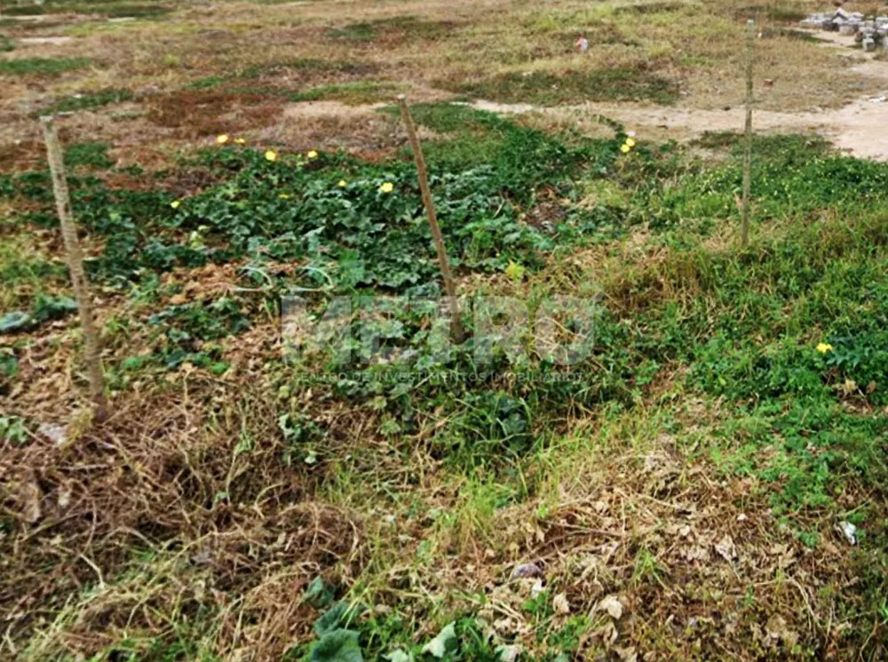 Terreno, 298 m² - Foto 1