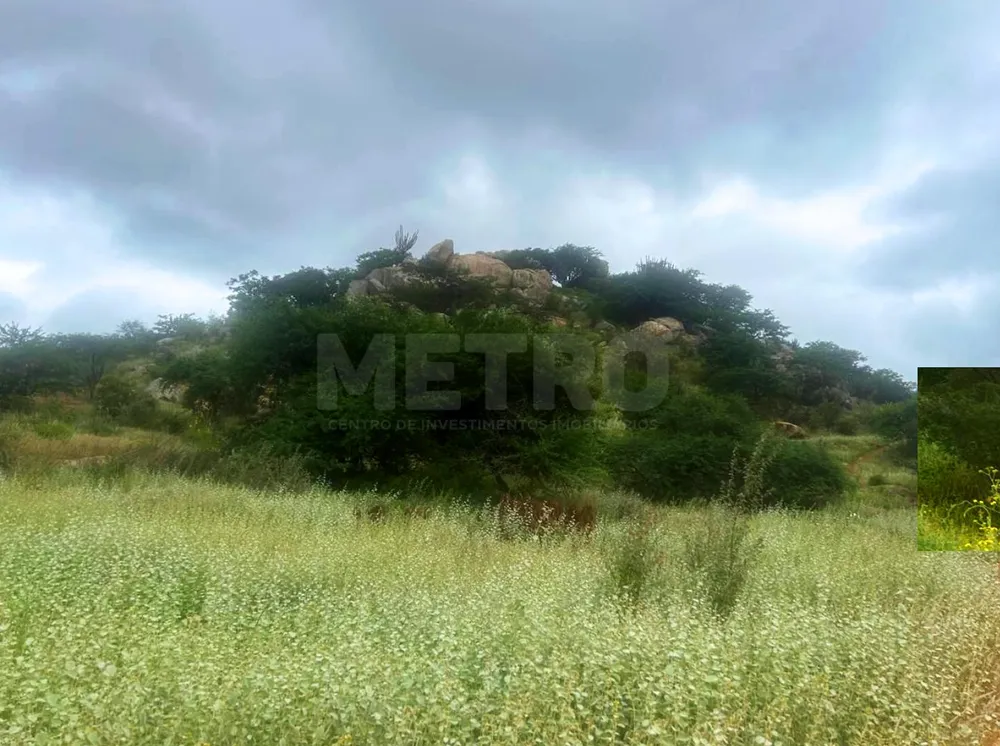 Fazenda - Foto 3