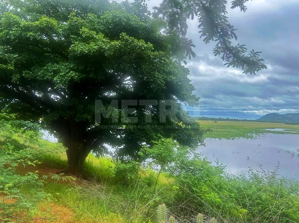 Fazenda - Foto 7