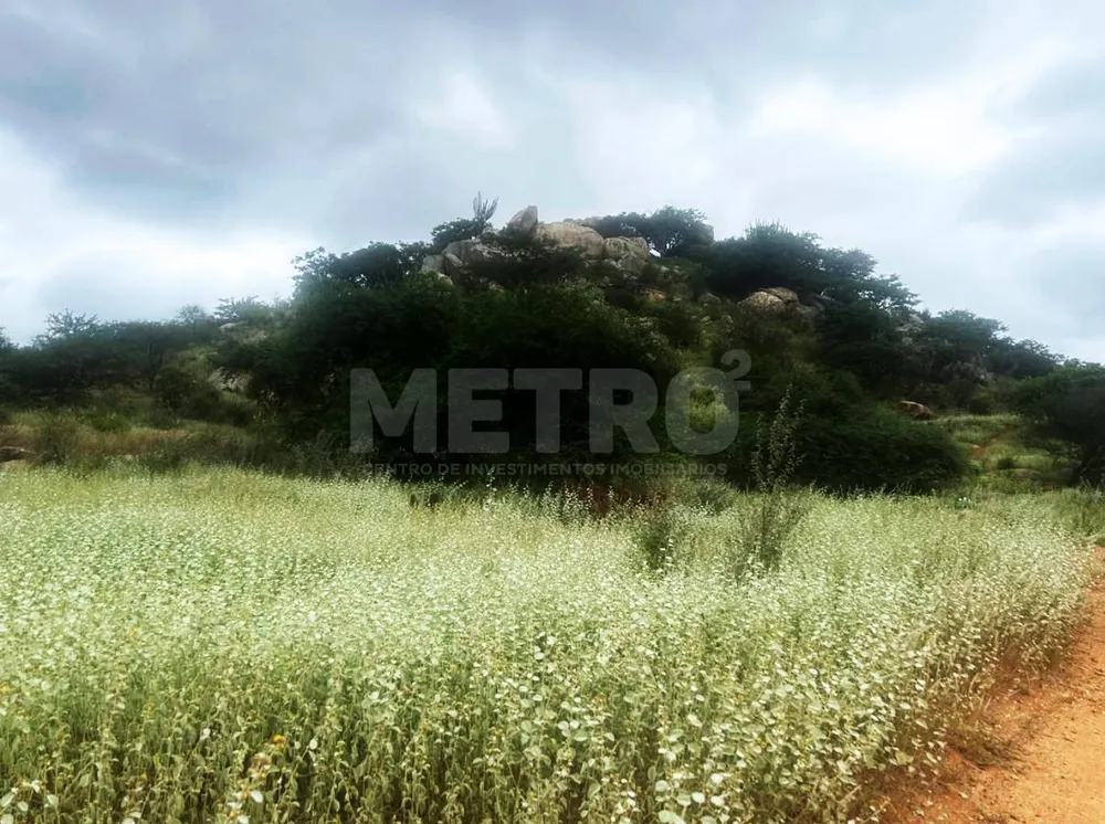 Fazenda - Foto 8